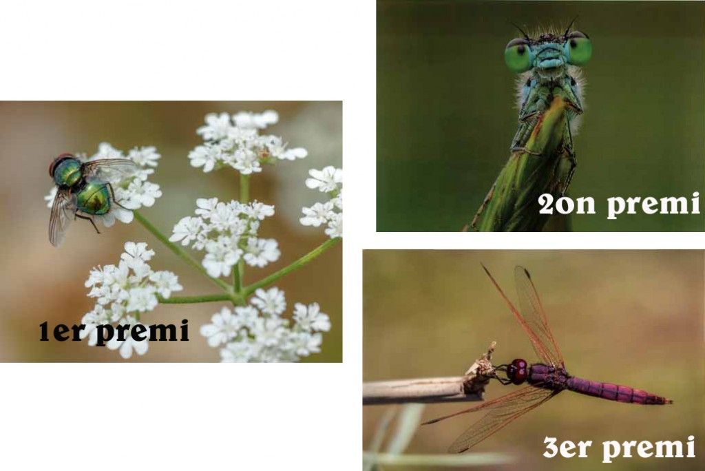 macro
