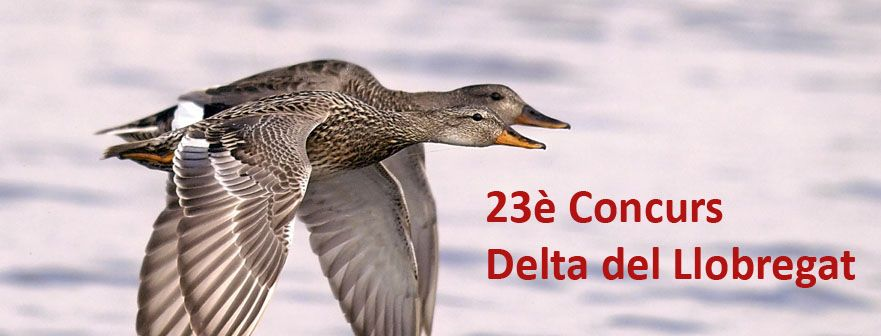 23è Concurs Delta del Llobregat