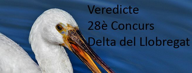 Veredicte 28è Concurs Delta del Llobregat