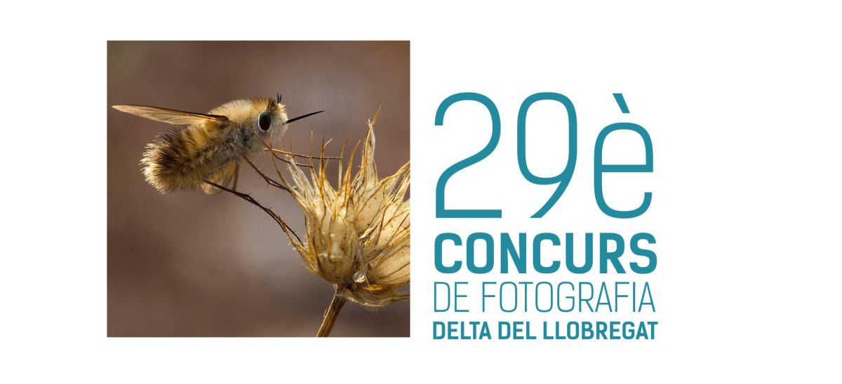 29è Concurs de fotografia 