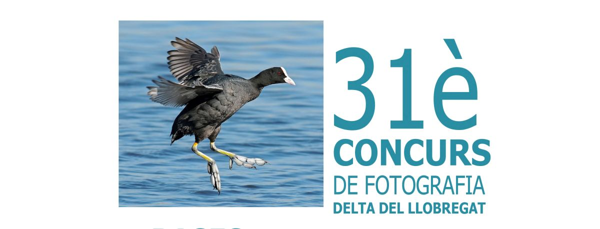 Veredicte 31è Concurs de fotografia 