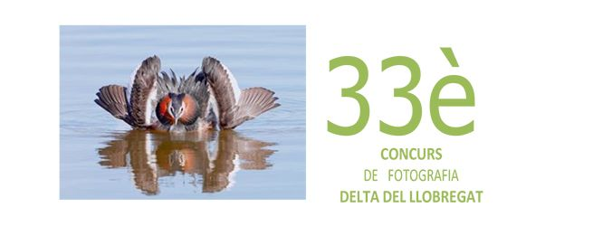 33è Concurs de fotografia 