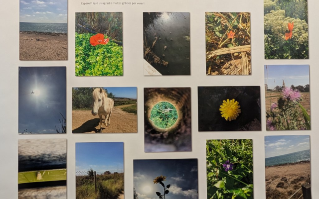 DESCOBRIM EL MÓN DE LA FOTOGRAFIA