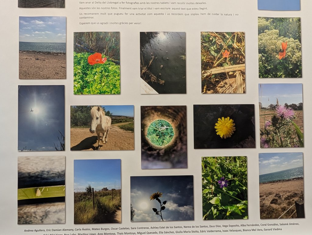 DESCOBRIM EL MÓN DE LA FOTOGRAFIA